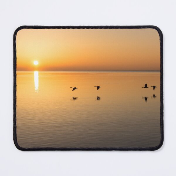 Artikelvorschau, Freiflug - Sonnenaufgang Vögel Quartett über Wasser entworfen und verkauft von Georgia Mizuleva.