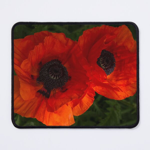 Item preview, Hot Red Poppy Duet - Horizontal designed and sold by Georgia Mizuleva.