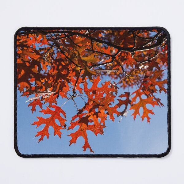 Item preview, Sunny Autumn - Biophilic Branch Patterns in Hot Reds designed and sold by Georgia Mizuleva.