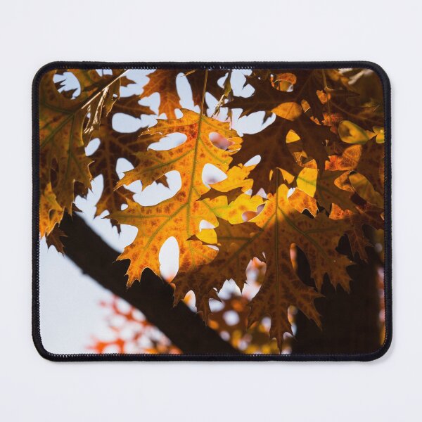 Item preview, Celebrating Autumn Colors - Oak Tree Fall Foliage designed and sold by Georgia Mizuleva.