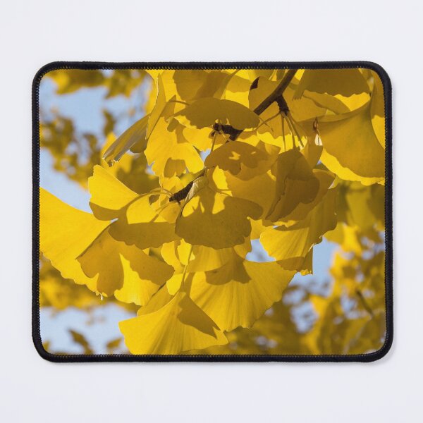 Item preview, Ginkgo Gold - Left Horizontal designed and sold by Georgia Mizuleva.