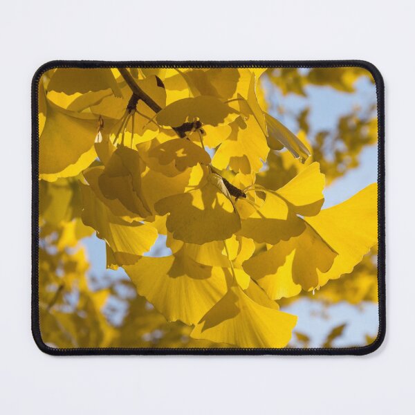 Item preview, Ginkgo Gold - Right Horizontal designed and sold by Georgia Mizuleva.