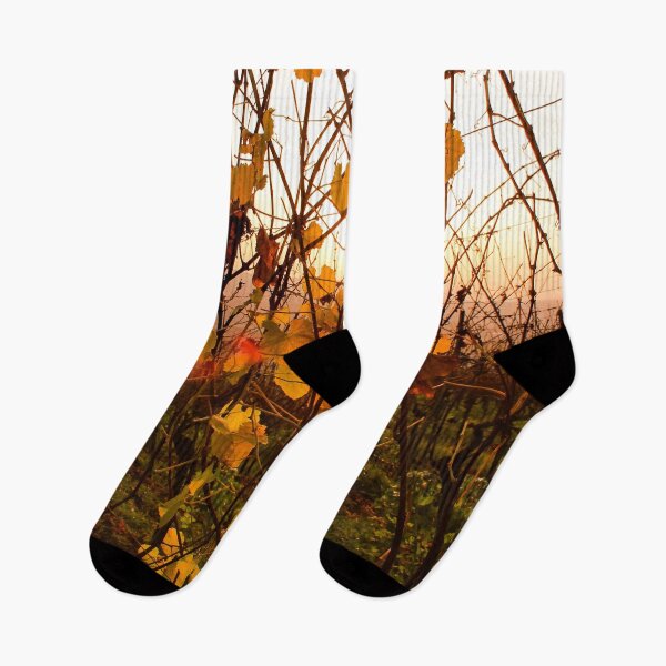 Item preview, Autumnal vines designed and sold by chiaravisuals.