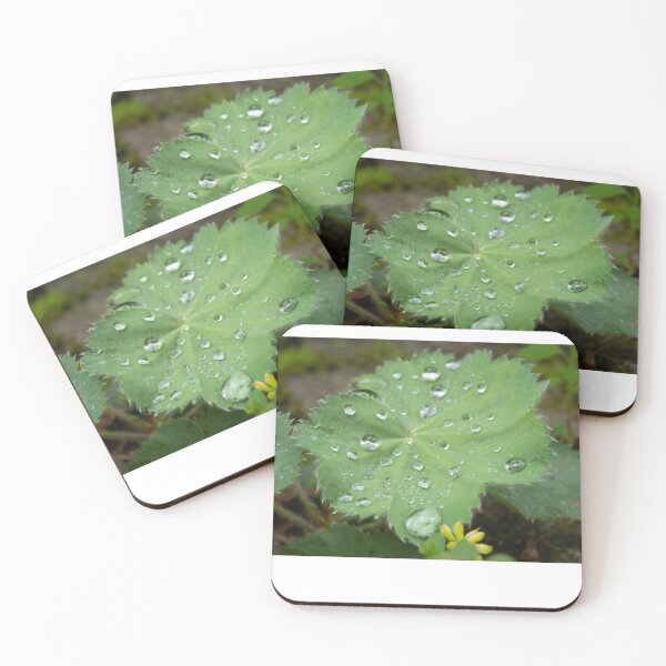 Item preview, Alchemilla designed and sold by Lauviahsdesign.
