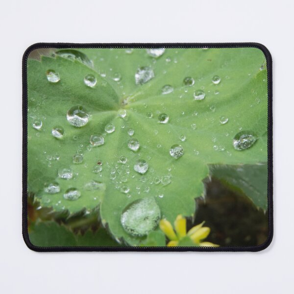 Item preview, Alchemilla designed and sold by Lauviahsdesign.