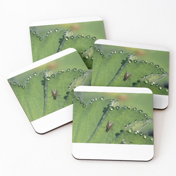 Item preview, Alchemilla designed and sold by Lauviahsdesign.