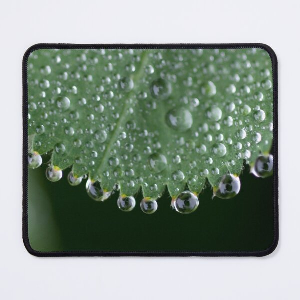 Item preview, Alchemilla designed and sold by Lauviahsdesign.