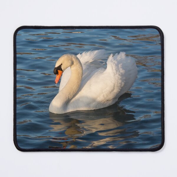 Item preview, Pride and Grace - Swan Gliding on Satiny Ripples designed and sold by Georgia Mizuleva.