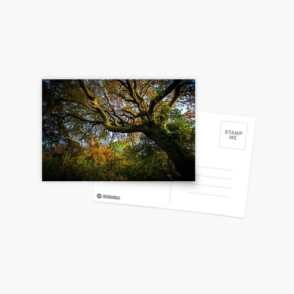 Autumn Postcard