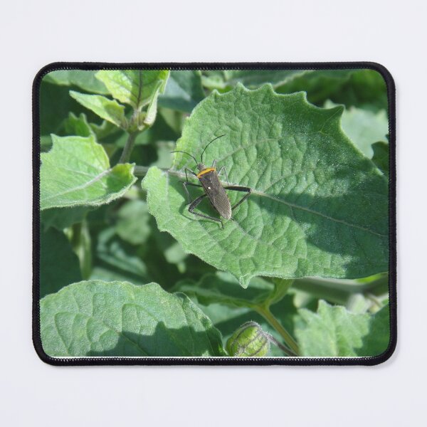 Item preview, Alchemilla designed and sold by Lauviahsdesign.