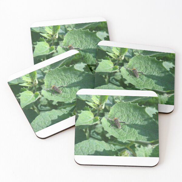 Item preview, Alchemilla designed and sold by Lauviahsdesign.