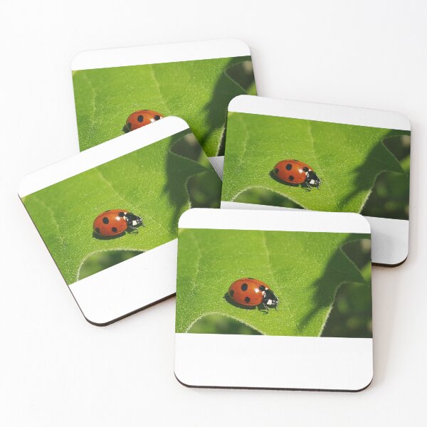 Item preview, Alchemilla designed and sold by Lauviahsdesign.