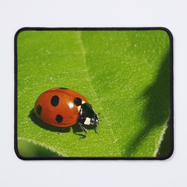 Item preview, Alchemilla designed and sold by Lauviahsdesign.