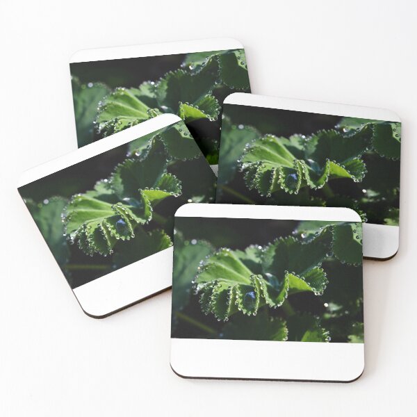 Item preview, Alchemilla designed and sold by Lauviahsdesign.