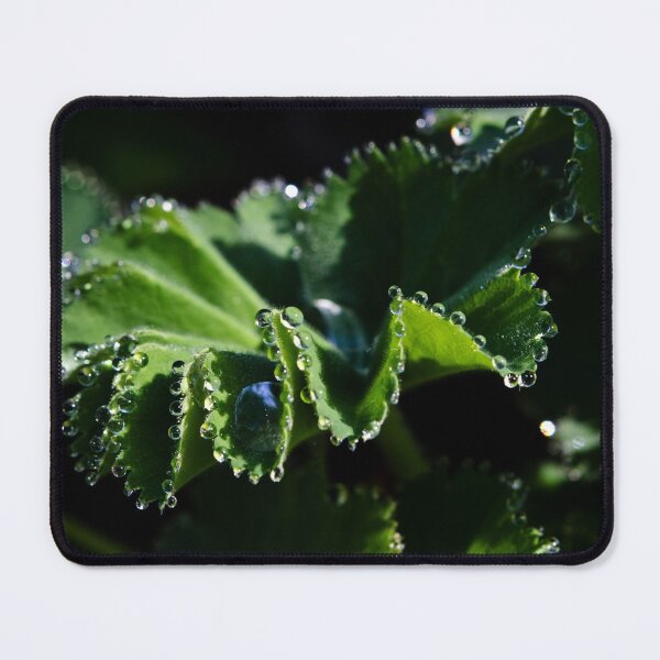 Item preview, Alchemilla designed and sold by Lauviahsdesign.