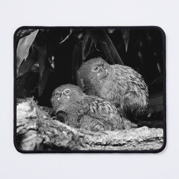 Item preview, r964 / New Finition 2021 " Petit Singe " Ouistiti Pygmée " le Duo " (h) Olavia-Olao Okaio Créations designed and sold by o.okaïo.