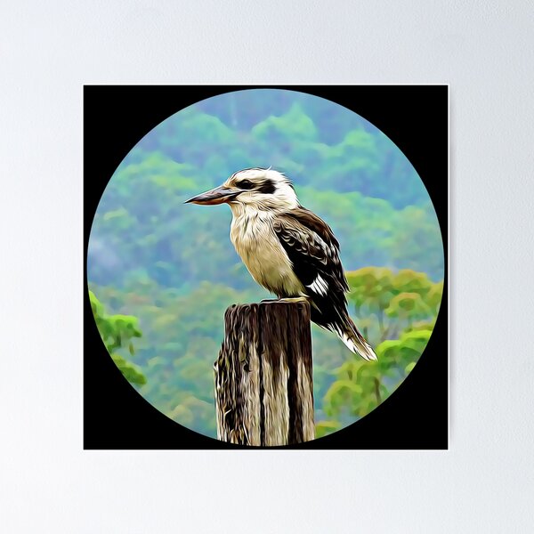 Item preview, Kookaburra Portrait designed and sold by KJCasey1982.