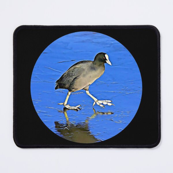 Item preview, Coot Portrait designed and sold by RevolutionInPaint.