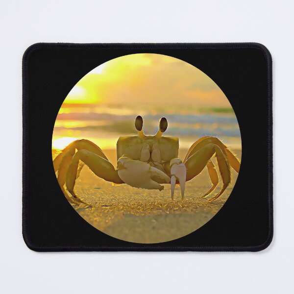 Item preview, Crab designed and sold by RevolutionInPaint.