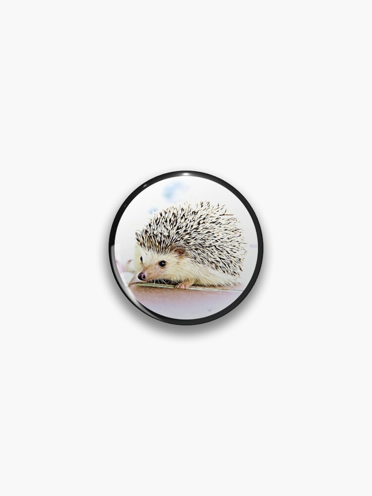 Hedgehog Pins and Buttons for Sale