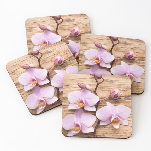 Artikelvorschau, Orchideen entworfen und verkauft von creativspirit.