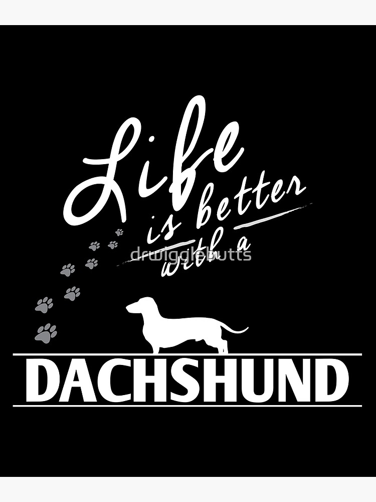 Lámina fotográfica «La vida divertida del perro salchicha es mejor con Lámina fotográfica «La vida divertida del perro salchicha es mejor con