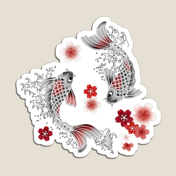Koi sakura blossom in black Magnet