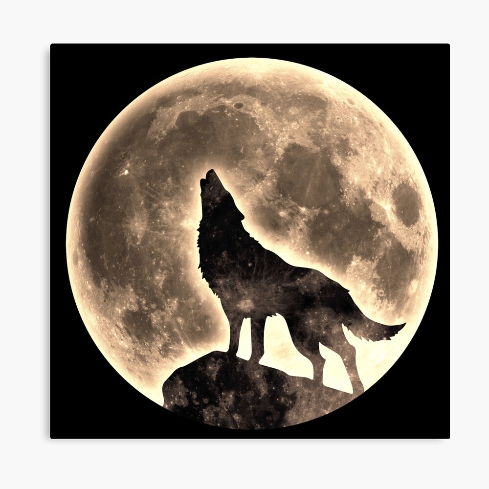 Lienzo «Howling Wolf, luna llena, luna llena, salvaje, perro, lobos» de  boom-art | Redbubble