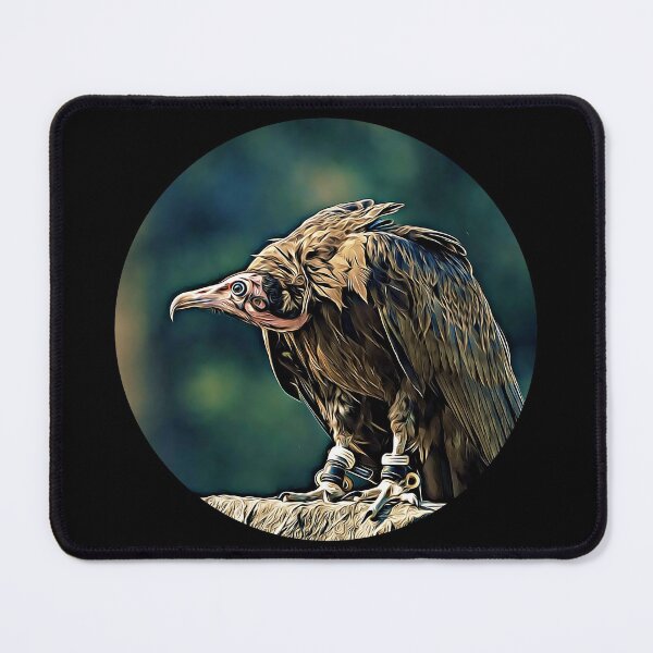 Item preview, Hooded Vulture Portrait designed and sold by RevolutionInPaint.
