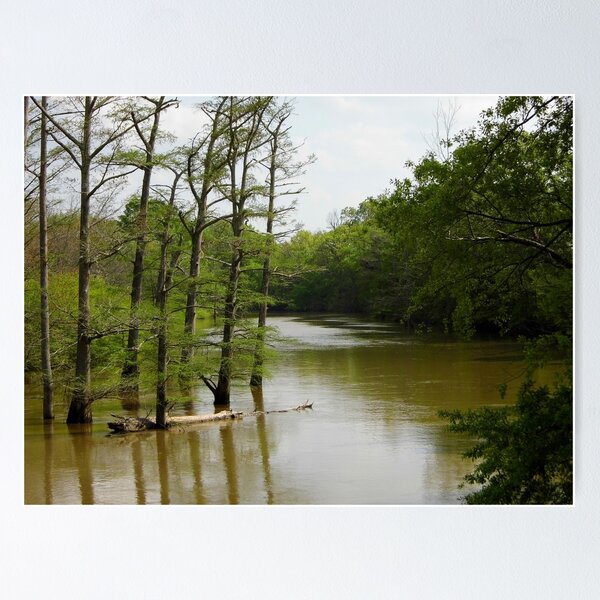 Item preview, Crooked Creek Bayou at High Water designed and sold by WildestArt.