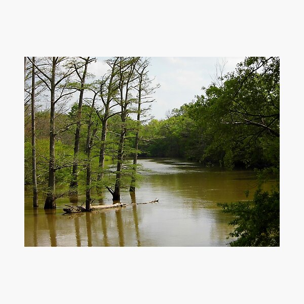 Item preview, Crooked Creek Bayou at High Water designed and sold by WildestArt.