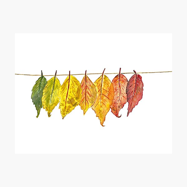Item preview, Seasonal Leaves (Watercolour) designed and sold by Sarah Addy.