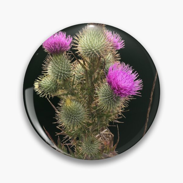 Item preview, Beautiful image of a milk thistle plant with flowers designed and sold by Floradigital.