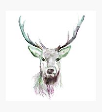 Beautiful winter reindeer painting, reindeer Photographic Print
