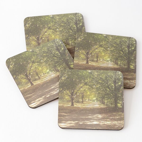 Item preview, Eglington Bike Path designed and sold by bryantrongcoso.