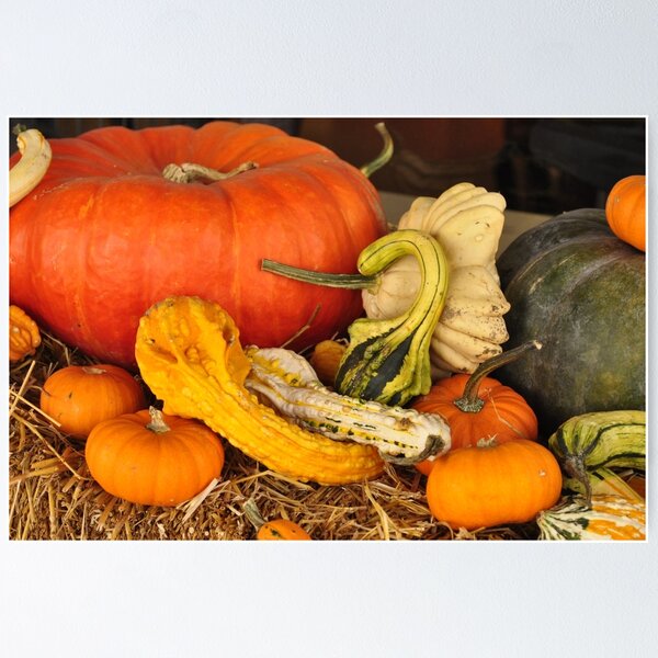 Item preview, Fall's Bounty  designed and sold by Wviolet28.