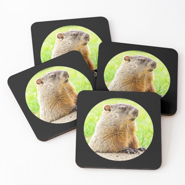 Item preview, Groundhog Portrait designed and sold by RevolutionInPaint.