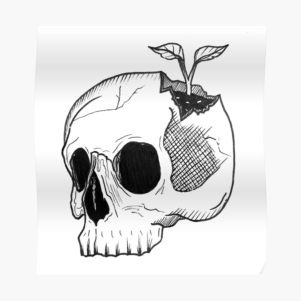 Cracked Monster Skull Stylized Sketch Stock Illustration  Download Image  Now  Anatomy Animal Bone Animal Teeth  iStock