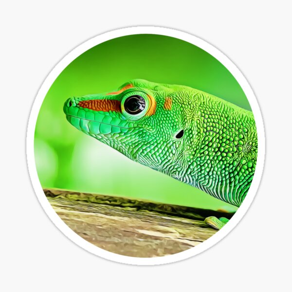 Item preview, Green Gecko Portrait designed and sold by KJCasey1982.