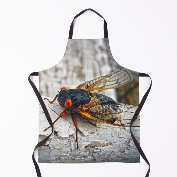 Item preview, Red Eyed Cicada designed and sold by Frankie Cat Photography.
