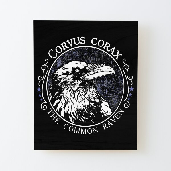 Corvus corax - The Common Raven Wood Mounted Print