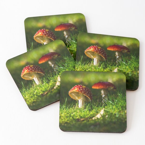 Item preview, Fly Agaric in the sunshine designed and sold by LluniauDafyddEm.