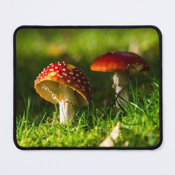 Item preview, Fly Agaric in the sunshine designed and sold by LluniauDafyddEm.