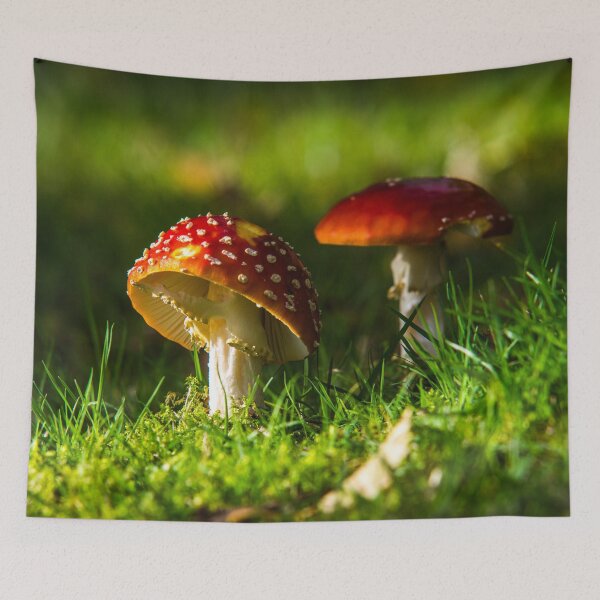 Item preview, Fly Agaric in the sunshine designed and sold by LluniauDafyddEm.