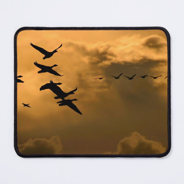 Item preview, The and-Covered Church in Skagen, Dernmark designed and sold by Postertale.