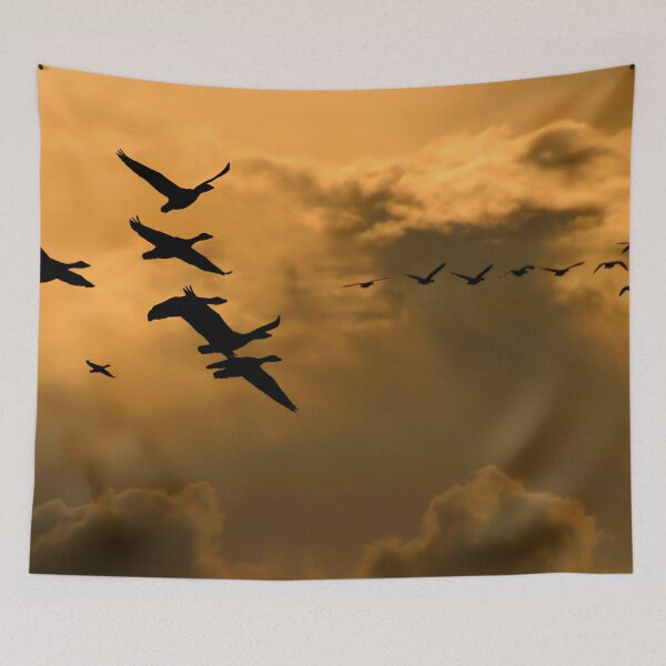 Item preview, The and-Covered Church in Skagen, Dernmark designed and sold by Postertale.