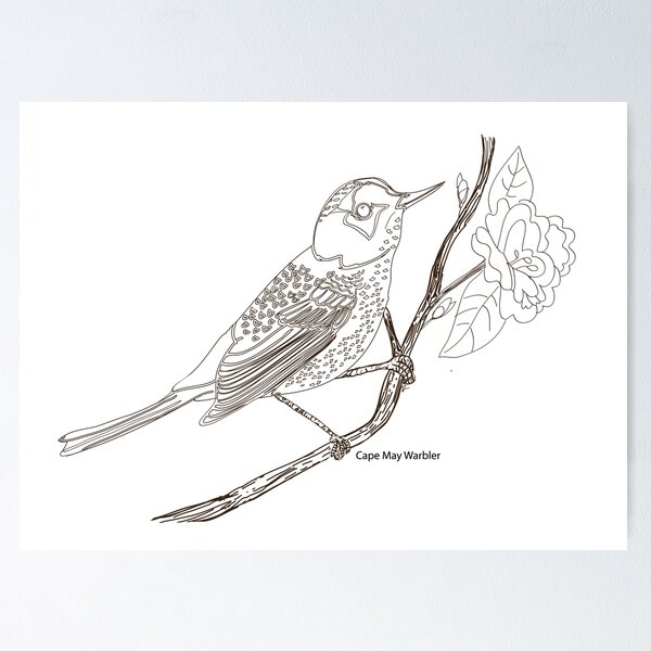 Item preview, Cape May Warbler Coloring Poster Art Print Line Drawing designed and sold by Robin   King.