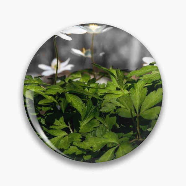 Item preview, Anemones in the forest designed and sold by Postertale.