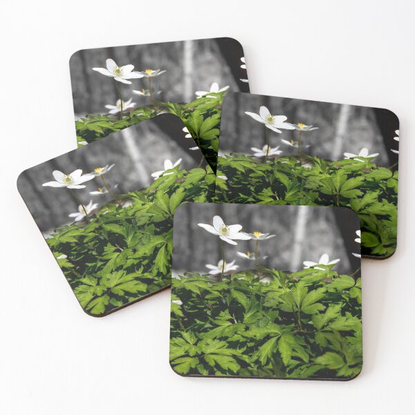 Item preview, Anemones in the forest designed and sold by Postertale.