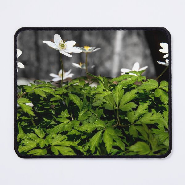 Item preview, Anemones in the forest designed and sold by Postertale.